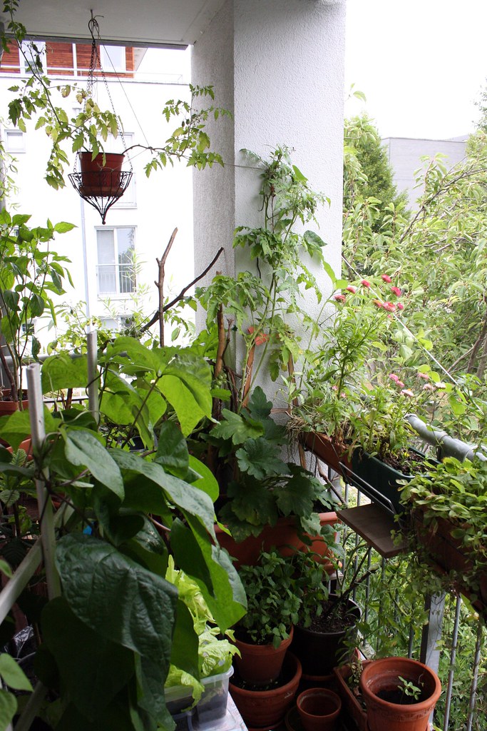 zielony balkon z pionowymi donicami